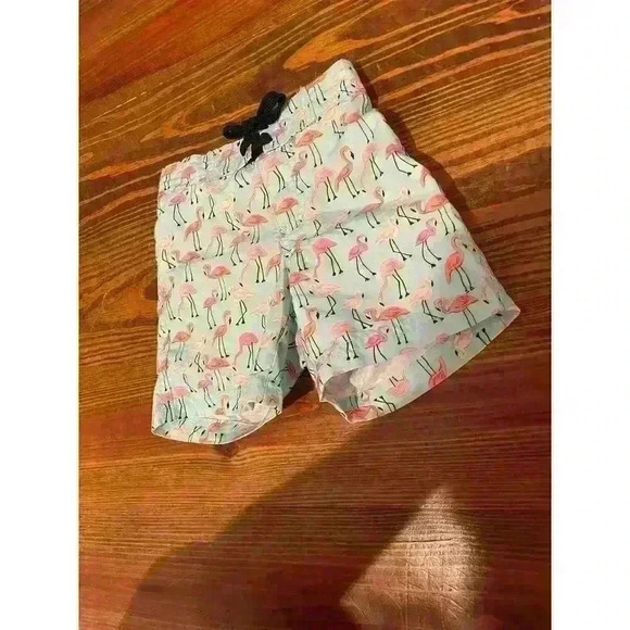 Janie and Jack Mint Flamingo Swim Trunks, size 3-6 months - Picture 4 of 8